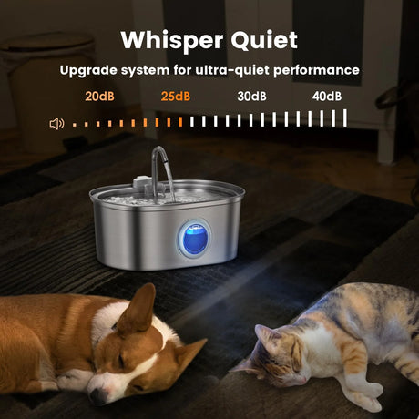 Fontaine à Eau Automatique pour Chat & Chien 3,2 L en Acier Inoxydable | Ultra Silencieuse avec Filtration