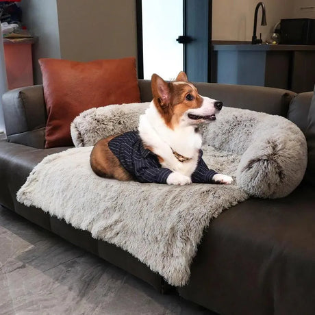 coussin-dehoussable-lit-pour-canape-chien – La Maison de la Housse