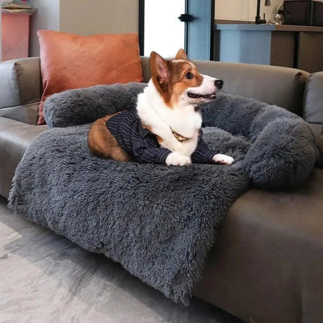 coussin-dehoussable-lit-pour-canape-chien – La Maison de la Housse