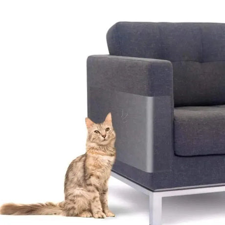 film-protection-anti-griffes-de-chat-canape – La Maison de la Housse