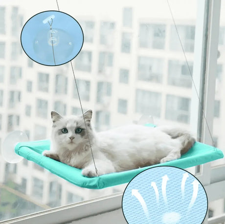hamac-fenetre-pour-chat – La Maison de la Housse