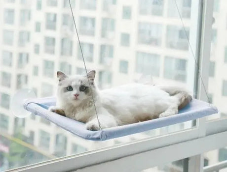 hamac-fenetre-pour-chat – La Maison de la Housse