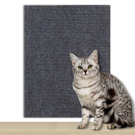 tapis-anti-griffes-autocollant – La Maison de la Housse