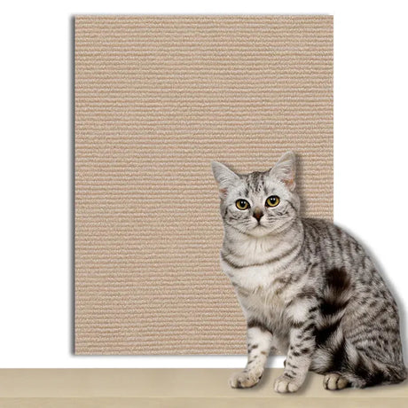 tapis-anti-griffes-autocollant – La Maison de la Housse