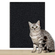tapis-anti-griffes-autocollant – La Maison de la Housse