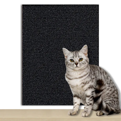 tapis-anti-griffes-autocollant – La Maison de la Housse