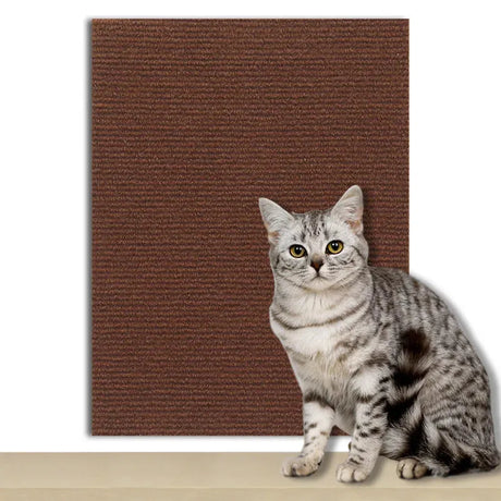 tapis-anti-griffes-autocollant – La Maison de la Housse