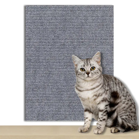 tapis-anti-griffes-autocollant – La Maison de la Housse