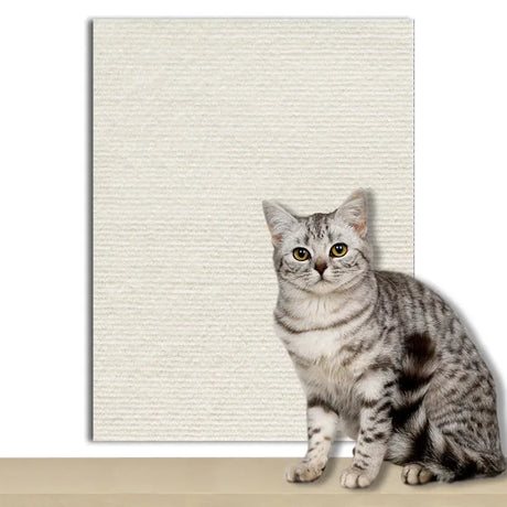 tapis-anti-griffes-autocollant – La Maison de la Housse
